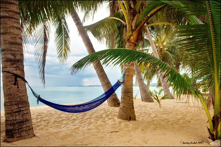 beach - nice, ocean, beach, sky, peaceful, hammock, palms, calm, nature, cool, clouds, beautiful, sea, sand, relax