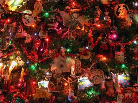 christmans decorations - pretty, christmans, decorations, beautiful, colorful, colored, lights