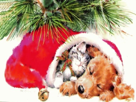 Christmas Pets - pets, gato, natal, dog, cat, christmas, santa, kitten, cachorro, puppy, animals