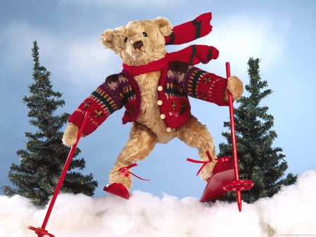 Alpine Teddy - alpine, snow, ski, teddy bear, teddy