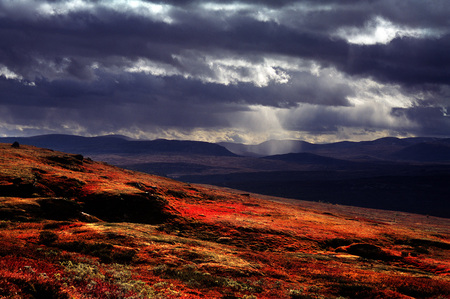 Autumn Colours Norway - clouds, grey blue, light rays, red