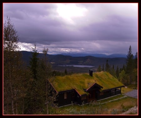 Farmhouse, Norway - clouds, house, trees, roof, grass, farm, sky