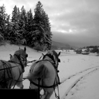 Sleigh Ride