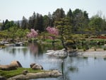 Van Nuys Japanese Garden 1