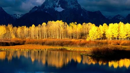 Autumn Forest in Sunshine - autumn, refelction, sunshine, mountain, forest, clouds, water