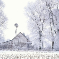 Frosted farmlands