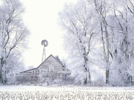 Frosted farmlands - winter, farma, frost, tree, snow, season