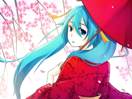 Hatsune Miku - pretty, beautfiul, pink, umbrella, nice, program, beauty, kimono, virtual, petals, cute, traditional, aqua eyes, culture, song, japanese, vocaloid, anime, yellow, twintail, cherry blossom trees, festival, hatsune miku, music, aqua, red, idol, anime girl, sakura, singer, girl, cool, sakura trees, miku, awesome, diva, aqua hair, hatsune, vocaloids