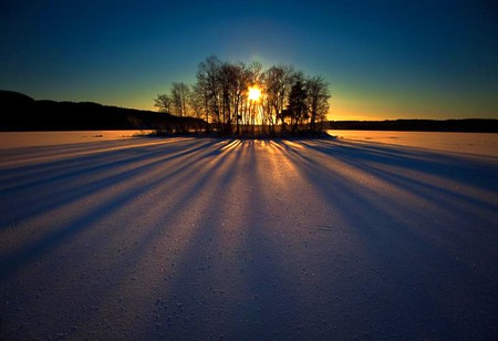 Sun Behind Trees - picture, trees, beautiful, sun, behind