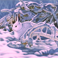 Frosty the bunny