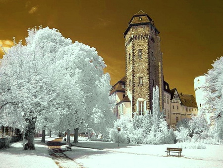 Winter gold - trees, snow, golden sky, winter, bench, buildings