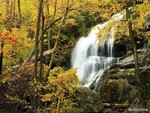 Autumn Waterfall