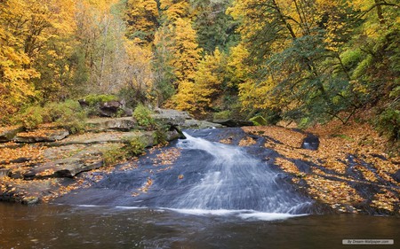 Córrego - river, landscape, nature, autumn