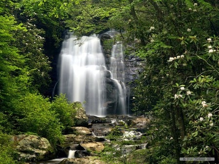 Beautiful Waterfall - beautifull, forest, nature, waterfall