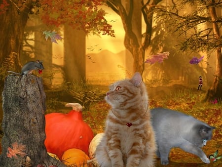 friendship - cats, mouse, forest, pumpkin