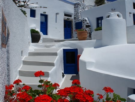 Oia island house - santorini, flowers, stairs, white, blue, greece, island, oia