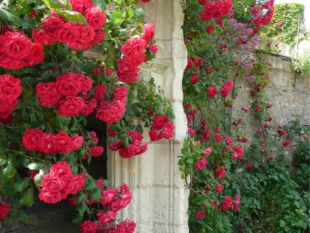 another angle of flowers on the wall - flowers, roses, red, wall