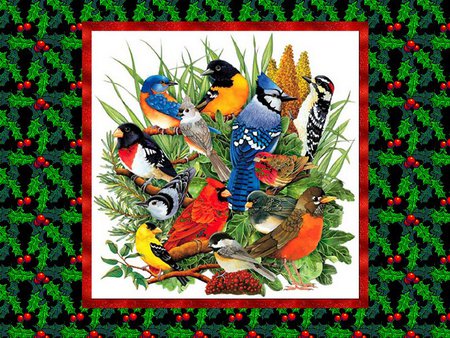 Birds - winter, berries, holly, christmas, bird, red, snow, cardinal, green, animal, birds