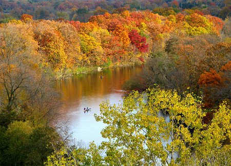 Autumn trees - nature, lake, autumn, forest, tree