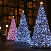 pink and blue christmas trees