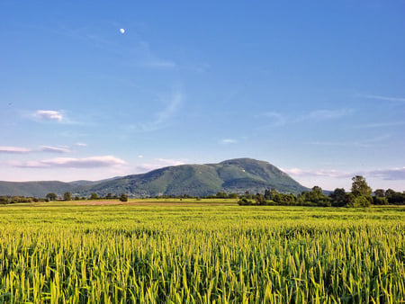 Blue and Green II - mountains, blue, green, fields