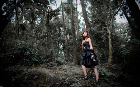 Black dress - forest, people, nature, other