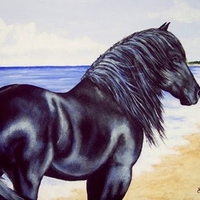 Friesian