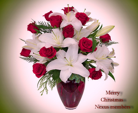 Christmas flowers - white lillies, merry christmas, flowers, vase, christmas, red roses