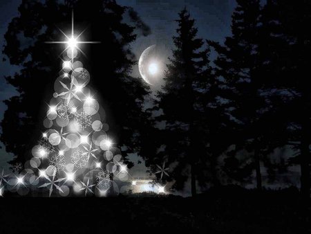 Christmas moon - white, moon, tree, black, christmas