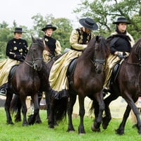 Friesian Horses in show