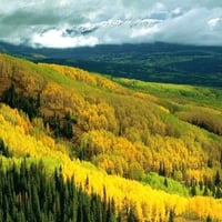 Gunnison-National-Forest-Colorado