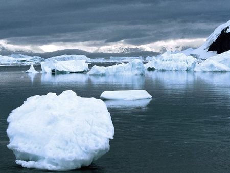 Ice, Antarctica - grey blue, ice, white, floating, ocean