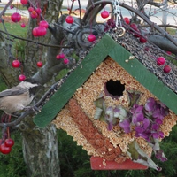 birdseed house