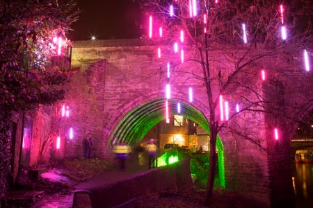 winter garden - flowers, winter, purple, garden, lights, night, architecture