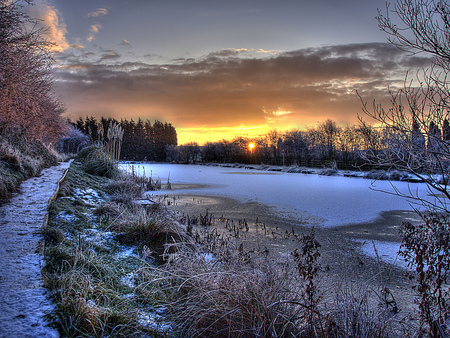 Winter sunrise - winter, sky, sunrise, snow