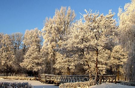 Snow day - winter, snow, forest, ice, frozen, lake, day, sky, bridge