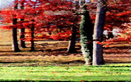 Painted Forest - paint, nature, autumn, fall, trees, colors