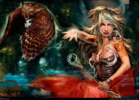 The swamp witch - witch, fairy, drunk, owl