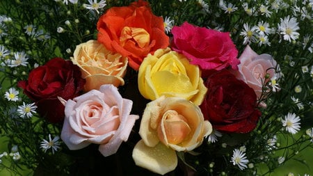 Roses For Carmen - nature, roses, different, colorful, flowers, bouquet