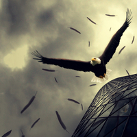 Straight out your wings