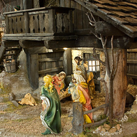 Look to the Manger