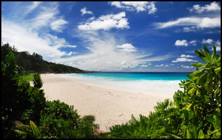 Beach - nature, beach, blue sky, sea