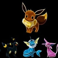 The Evolutions of Eevee