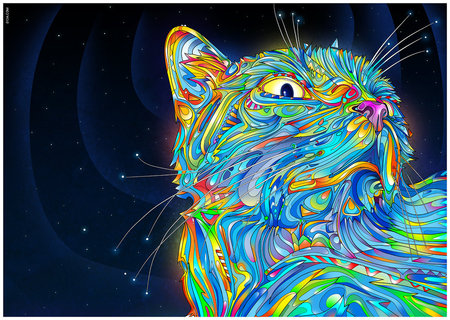 midnight cat - abstract, cat, night, colorful, mid