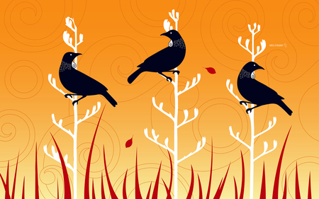 Tuis at Dawn - orange, 2d, animation, birds