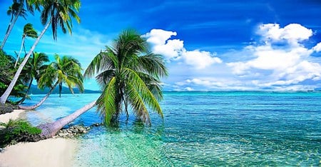 Have A Wonderful Vacation - trees, lagoon, blue, beach, sea, beauty, paradise