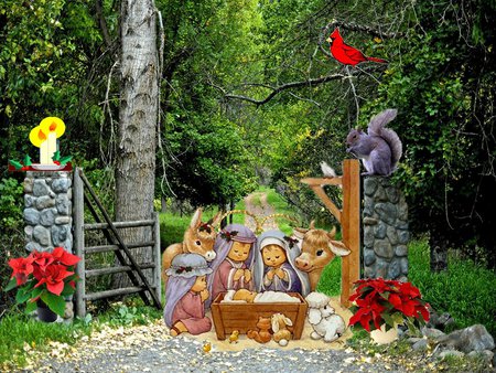 Jesus Christ among us - religion, god, christianity, christmas, cardinal, jesus christ, holiday, tree, poinsettia