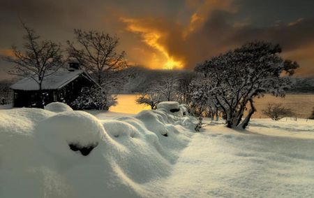 under the snow - river, trees, winter, cabin, snow, sky