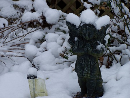 Praying For A Warm Rain - snow, yard, winter, nature