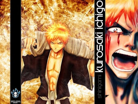 kurosaki ichigo - awesome, bleach, sword, ichigo, shinigami